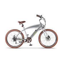 2019 Cool Man Style Bicicleta eléctrica de montaña Ebike para la venta